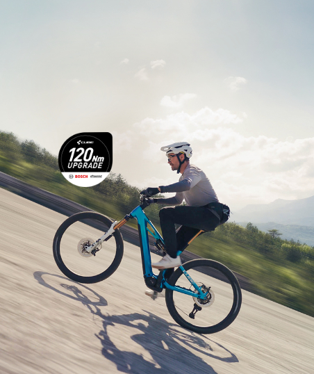 Bosch Performance upgrade 2.0