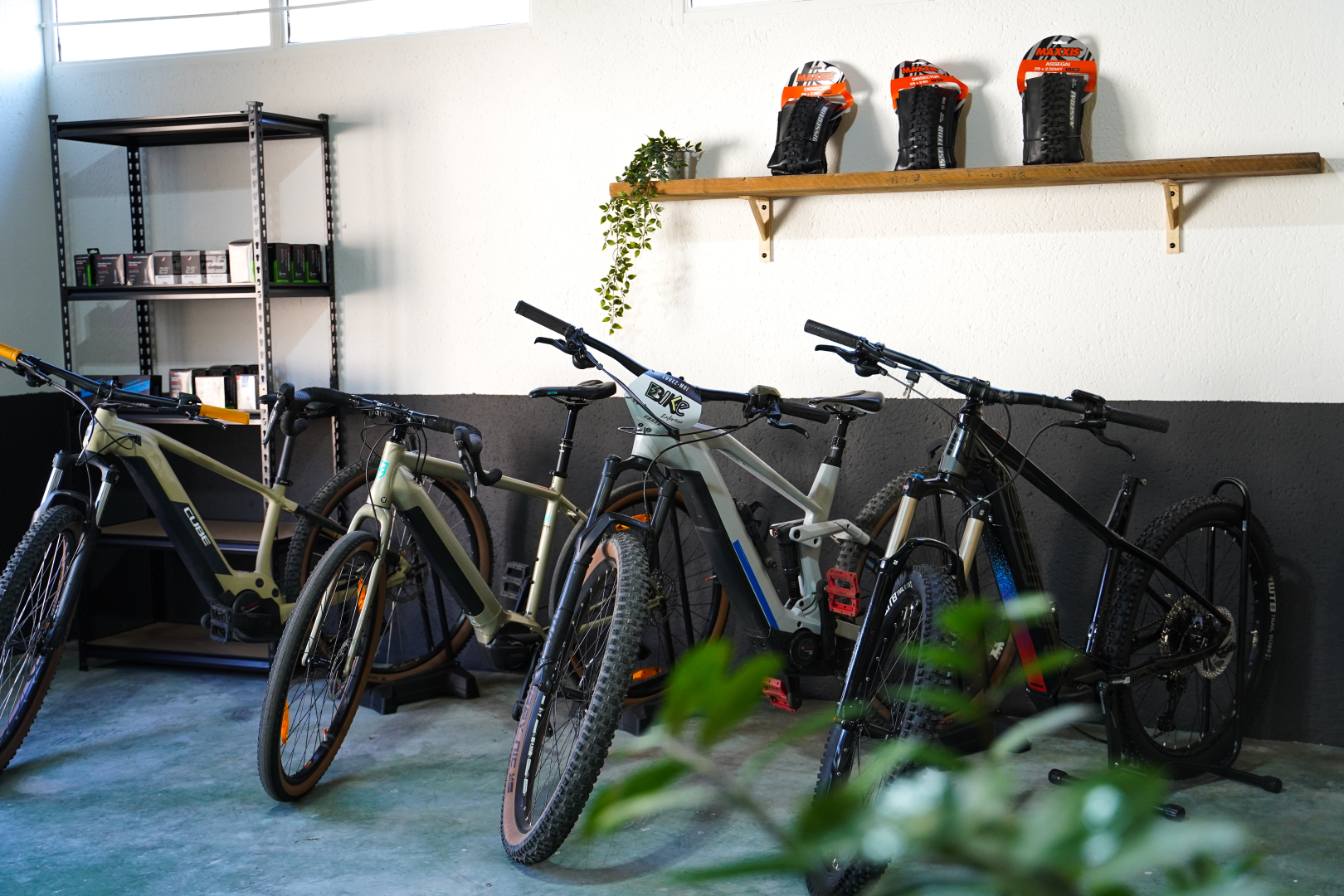 Photo du magasin E-BIKE EXPRESS