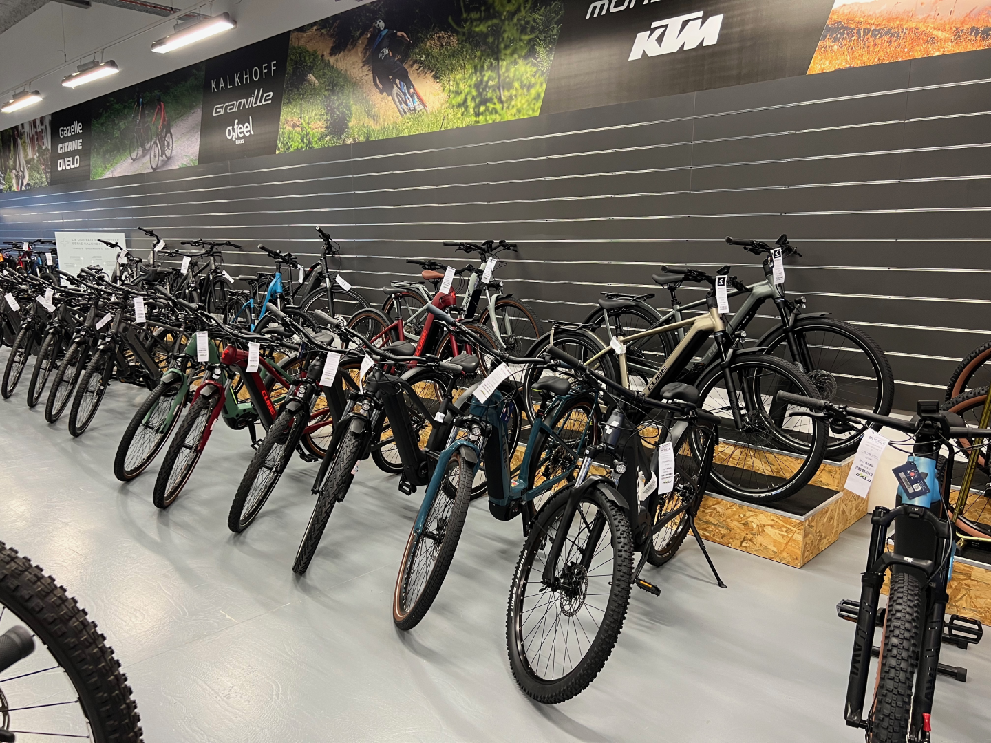 Magasin velo on sale electrique annemasse