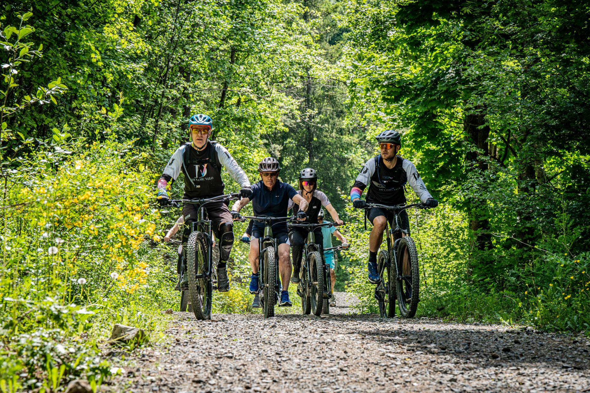 Photo du magasin DYNAMIC VELO